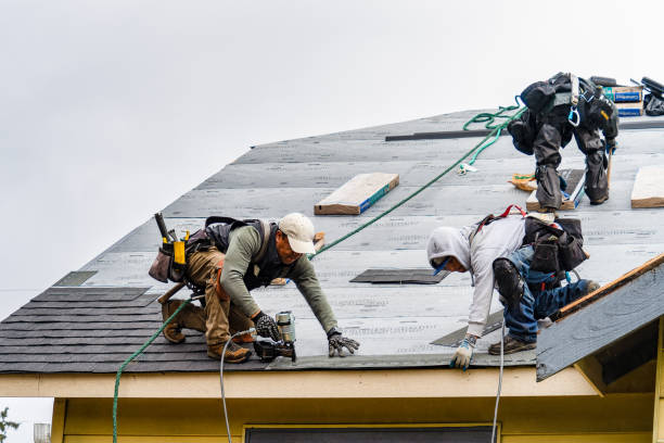 Professional Gutter Installation technician working in Bemidji, MN